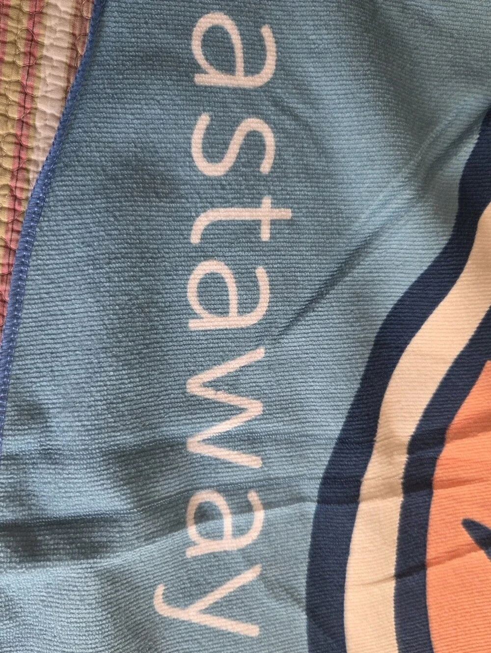 Disney Cruise Line Castaway Club Towel Blanket - Blue White